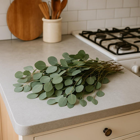 Eucalyptus Bliss Candle – 6oz Natural Soy Wax