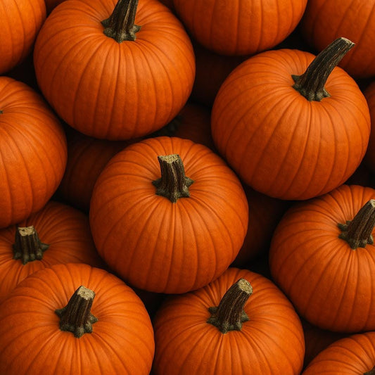 Pumpkin Reverie Candle – 6oz Soy Wax